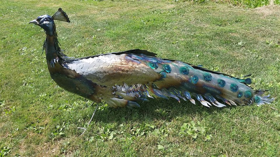 peacock metal steel custom by ImagineMetalArt